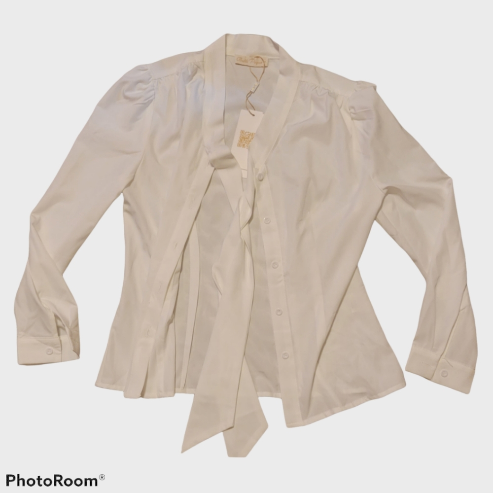 Professional button up